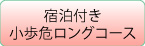 宿泊付き小歩危ロングコース