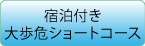 宿泊付き大歩危ショートコース